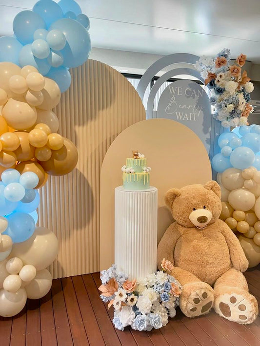 Teddy Bear Backdrop Package