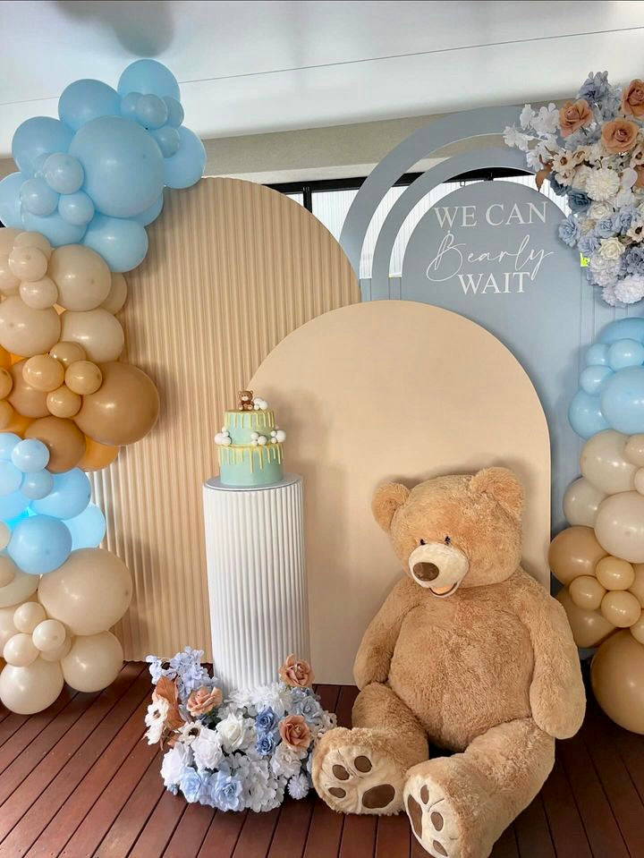 Teddy Bear Backdrop Package